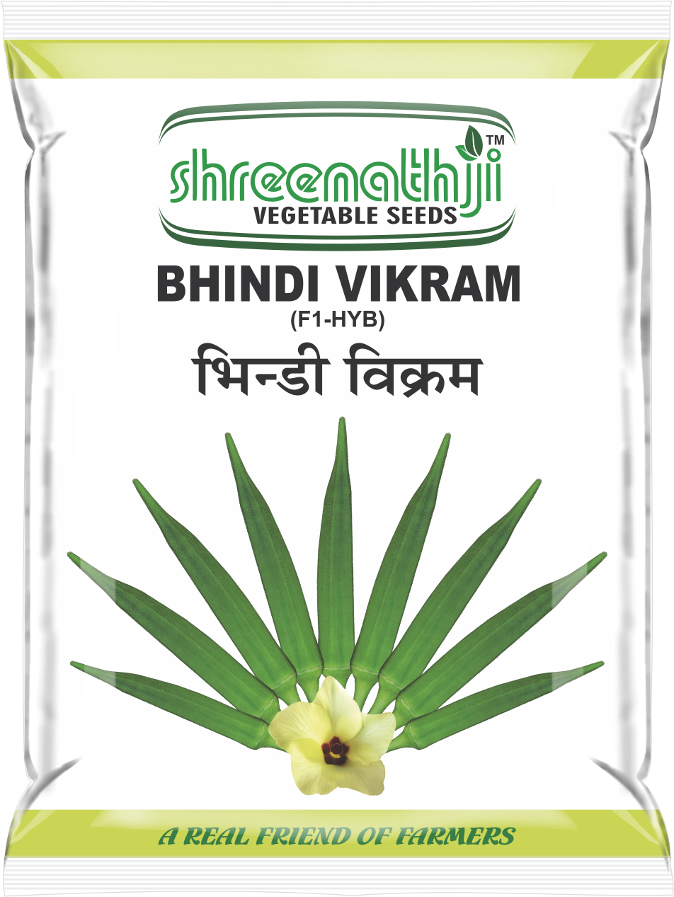 ભીંડો વિક્રમ